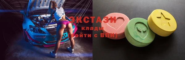 крисы Надым